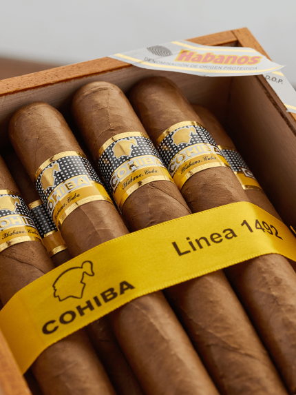 Cohiba Siglo VI